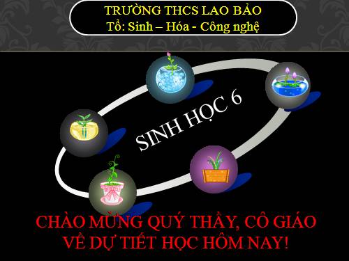 Bài 41. Hạt kín - Đặc điểm của thực vật Hạt kín