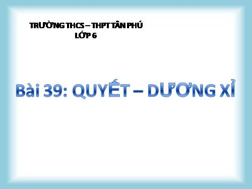 Bài 39. Quyết - Cây dương xỉ