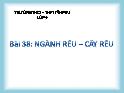 Bài 38. Rêu - Cây rêu