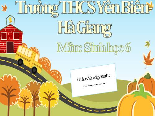 Bài 41. Hạt kín - Đặc điểm của thực vật Hạt kín