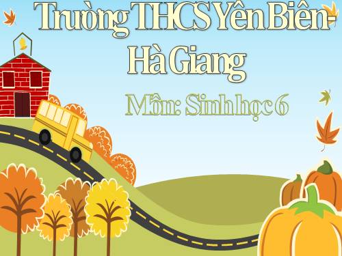 Bài 41. Hạt kín - Đặc điểm của thực vật Hạt kín