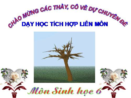 Bài 17. Vận chuyển các chất trong thân