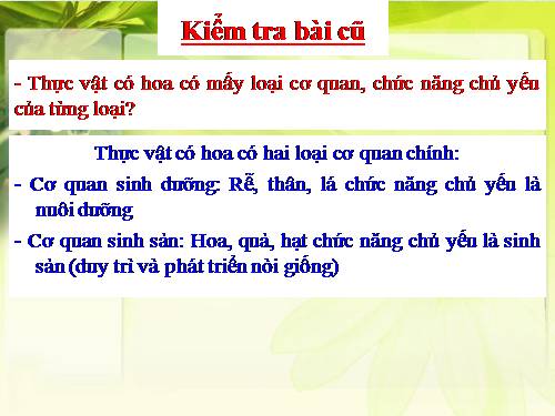 Bài 28. Cấu tạo và chức năng của hoa