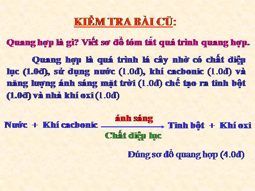 Bài 22. Ảnh hưởng của các điều kiện bên ngoài đến quang hợp, ý nghĩa của quang hợp