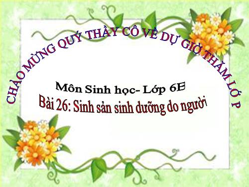 Bài 27. Sinh sản sinh dưỡng do người