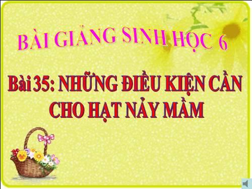 Bài 35. Những điều kiện cần cho hạt nảy mầm