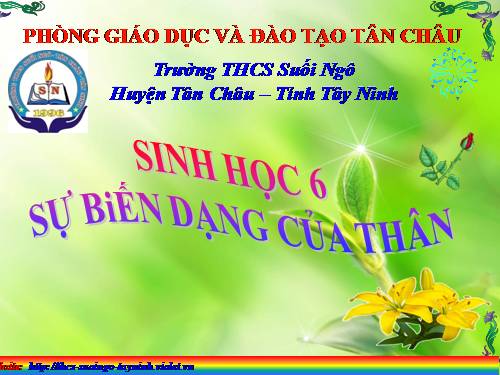 Bài 18. Biến dạng của thân