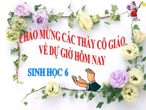 Bài 36. Tổng kết về cây có hoa