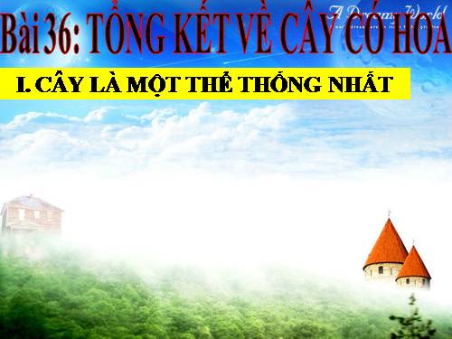 Bài 36. Tổng kết về cây có hoa