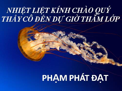 Bài 18. Biến dạng của thân