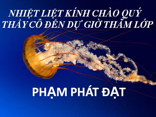 Bài 17. Vận chuyển các chất trong thân