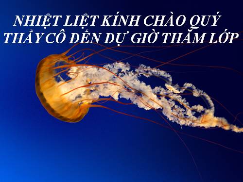 Bài 17. Vận chuyển các chất trong thân
