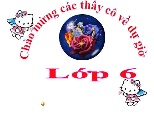 Bài 22. Ảnh hưởng của các điều kiện bên ngoài đến quang hợp, ý nghĩa của quang hợp