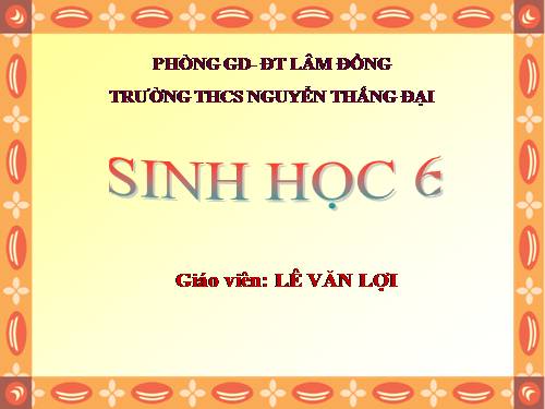 Bài 33. Hạt và các bộ phận của hạt