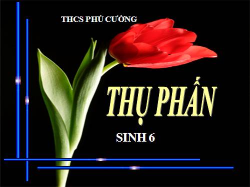 Bài 30. Thụ phấn