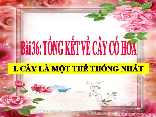 Bài 29. Các loại hoa