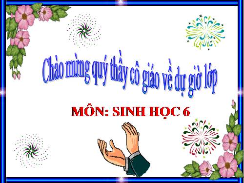 Bài 19. Đặc điểm bên ngoài của lá