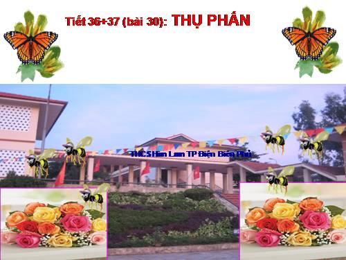 Bài 30. Thụ phấn