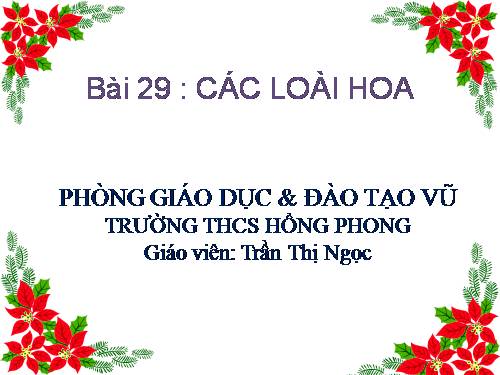 Bài 29. Các loại hoa