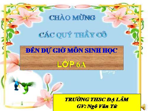 Bài 27. Sinh sản sinh dưỡng do người