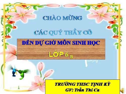 Bài 27. Sinh sản sinh dưỡng do người