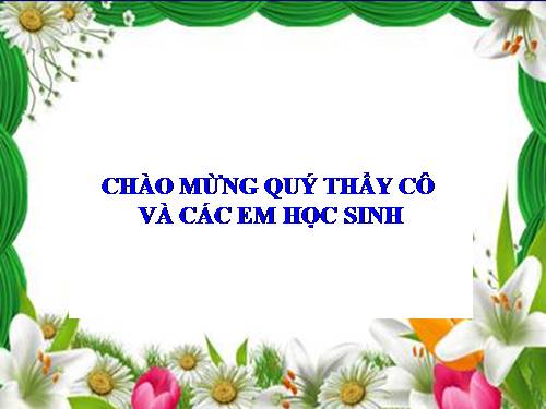 sơ đồ tư duy ô tập học kỳ 1