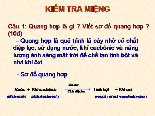 Bài 22. Ảnh hưởng của các điều kiện bên ngoài đến quang hợp, ý nghĩa của quang hợp