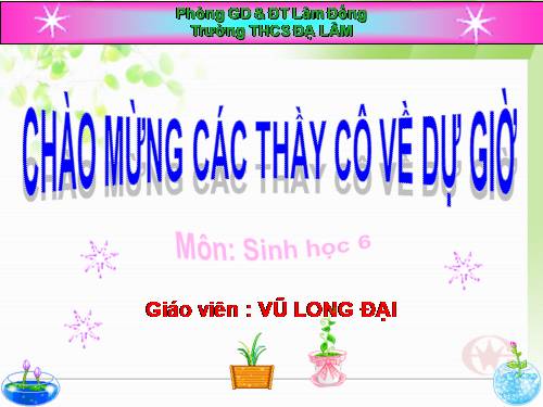 Bài 25. Biến dạng của lá