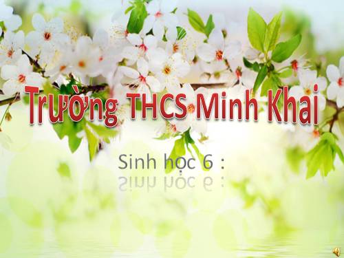 Bài 3. Đặc điểm chung của thực vật