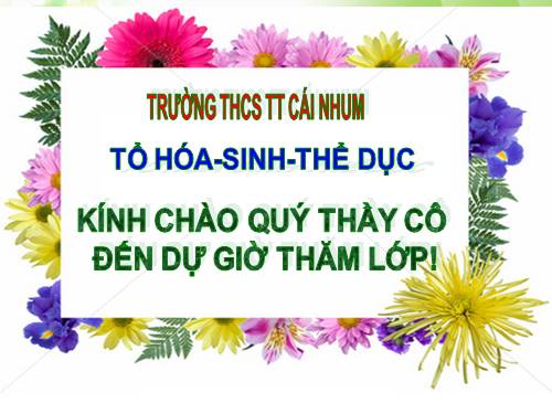 Bài 13. Cấu tạo ngoài của thân