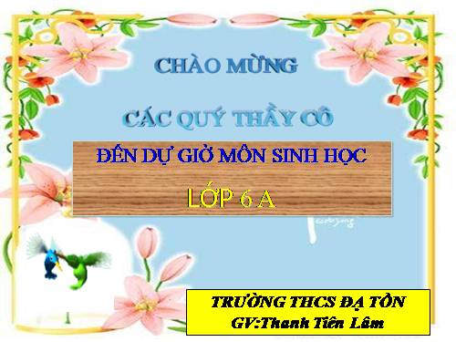 Bài 26. Sinh sản sinh dưỡng tự nhiên