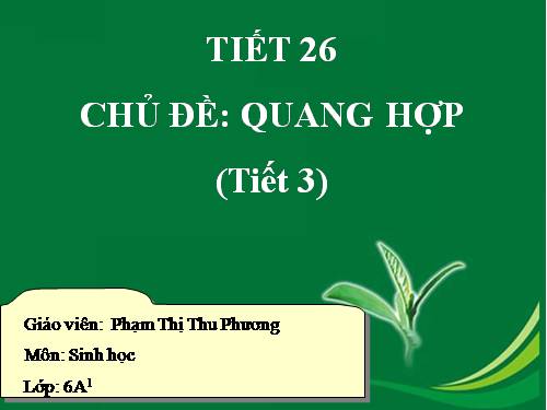 Bài 22. Ảnh hưởng của các điều kiện bên ngoài đến quang hợp, ý nghĩa của quang hợp