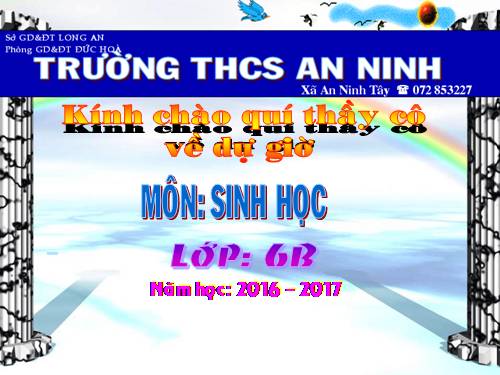 Bài 26. Sinh sản sinh dưỡng tự nhiên