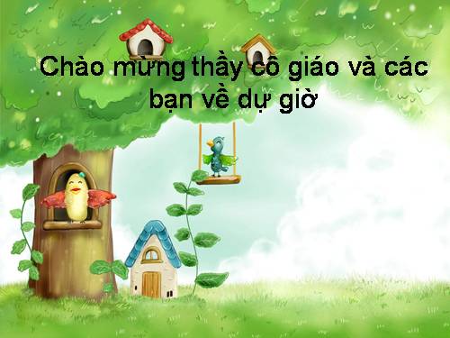 Bài 32. Các loại quả