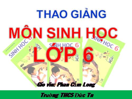 Bài 34. Phát tán của quả và hạt