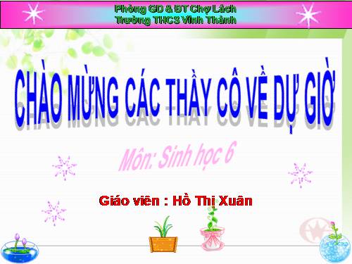 Bài 25. Biến dạng của lá