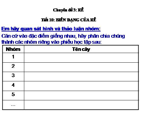 Bài 12. Biến dạng của rễ