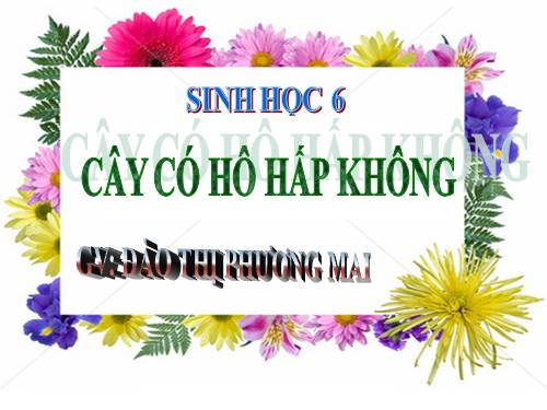 Bài 23. Cây có hô hấp không?