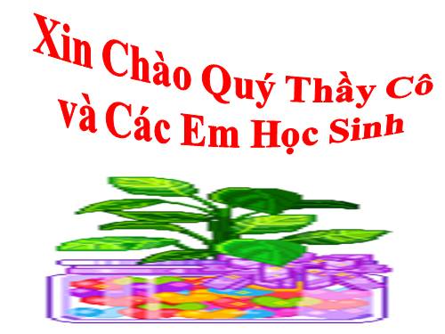 Bài 14. Thân dài ra do đâu ?