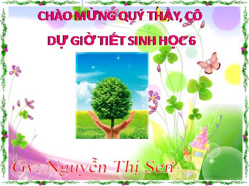 Bài 21. Quang hợp