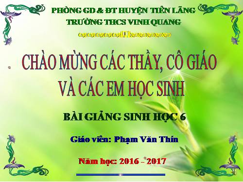 Bài 21. Quang hợp