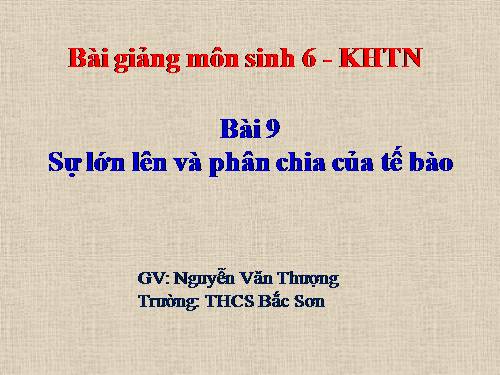 Bài 8. Sự lớn lên và phân chia của tế bào