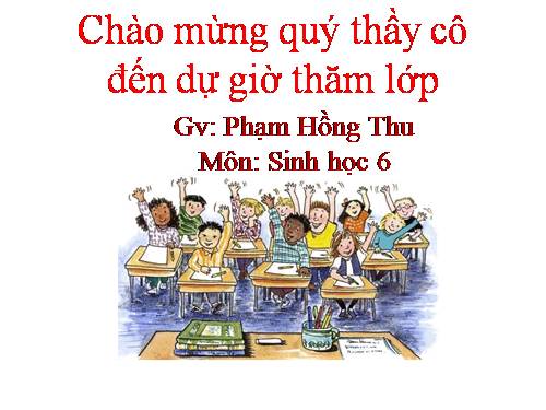 Bài 21. Quang hợp