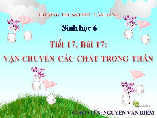 Bài 17. Vận chuyển các chất trong thân