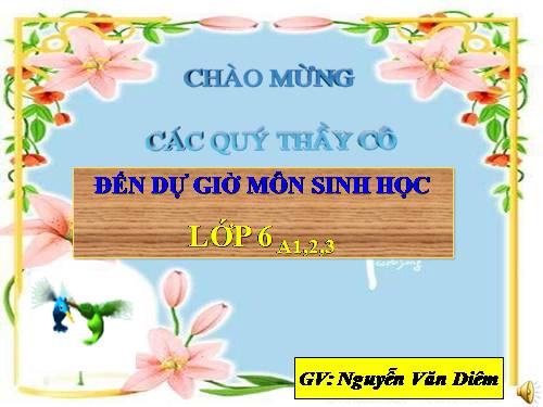 Bài 12. Biến dạng của rễ