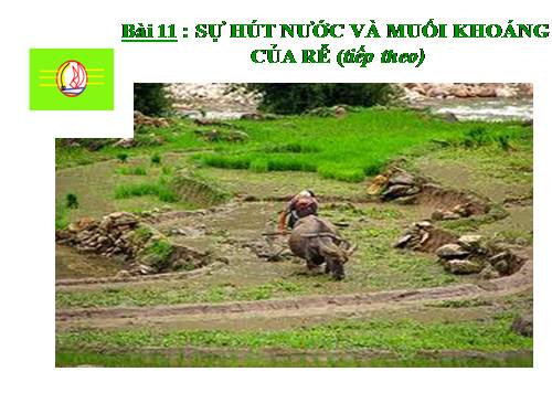 Bài 3. Đặc điểm chung của thực vật