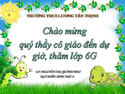Bài 16. Thân to ra do đâu ?