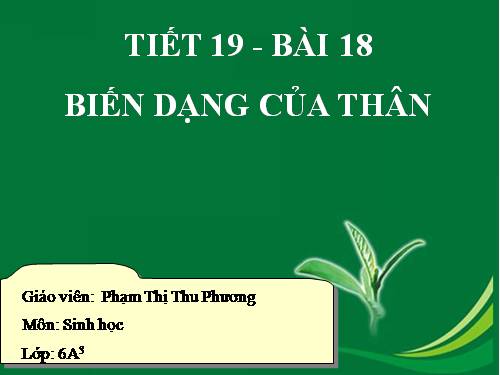 Bài 18. Biến dạng của thân