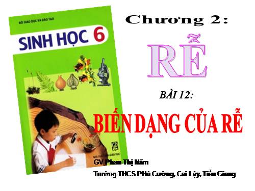 Bài 12. Biến dạng của rễ