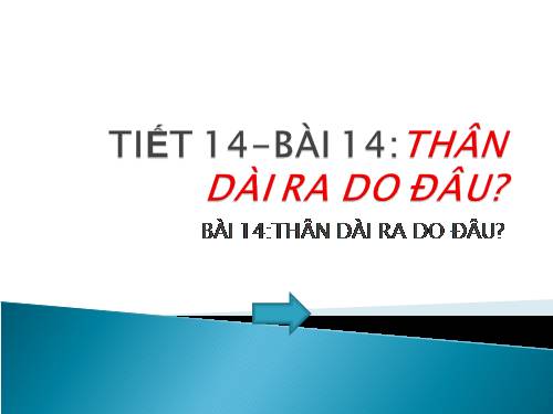 Bài 14. Thân dài ra do đâu ?